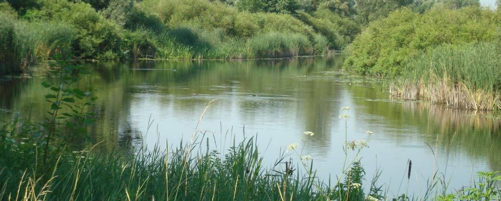 
            Фотография Загребли