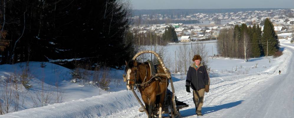 Фотография Носкова