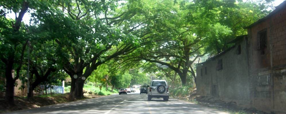 
            Фотография Лос-Текеса