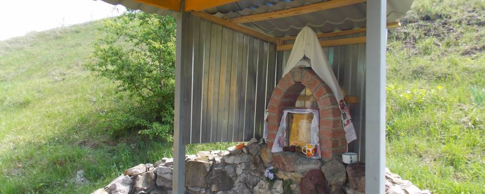 
            Фотография Совхоза Нижнедевицкого