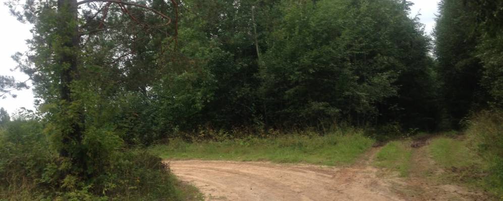 
            Фотография Уклеино