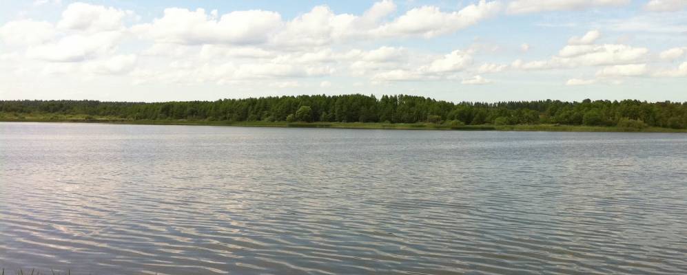 
            Фотография Осиновки