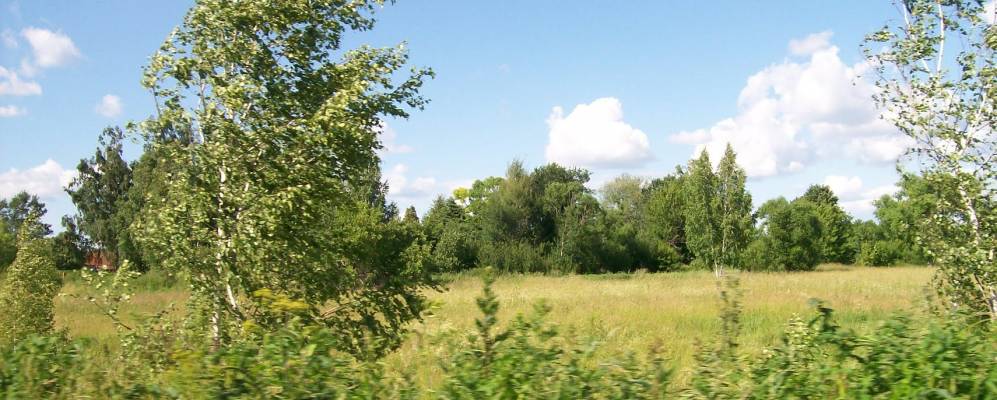 
            Фотография Первого Мая