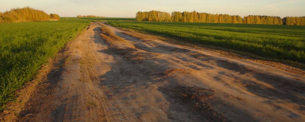 
            Фотография Богомолово