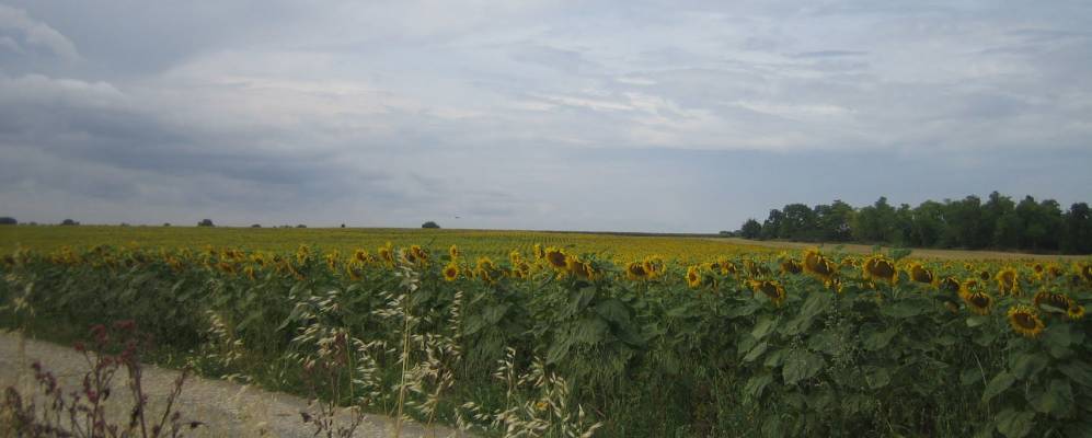 
            Фотография Авантона