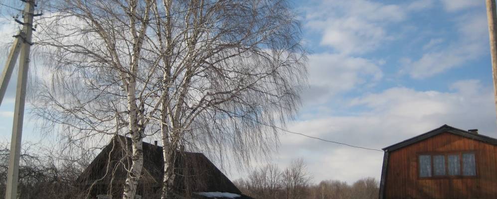 
            Фотография Орешков