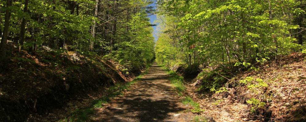 
            Фотография Нюфилдса