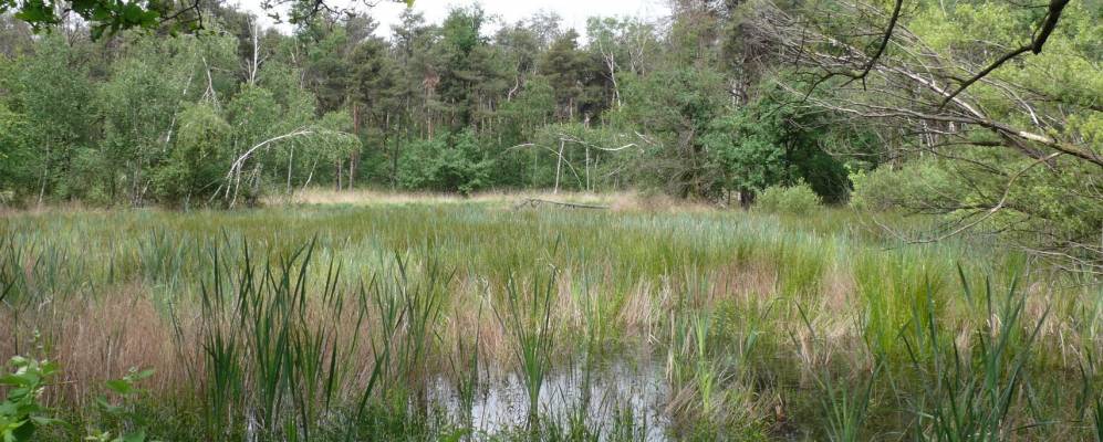 
            Фотография Чезате