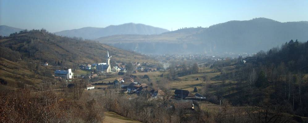 
            Фотография Дофтины