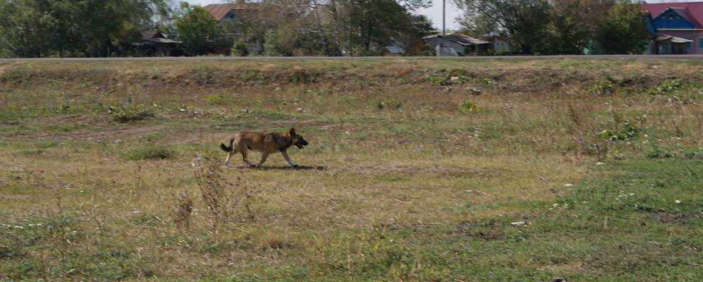
            Фотография Покровского