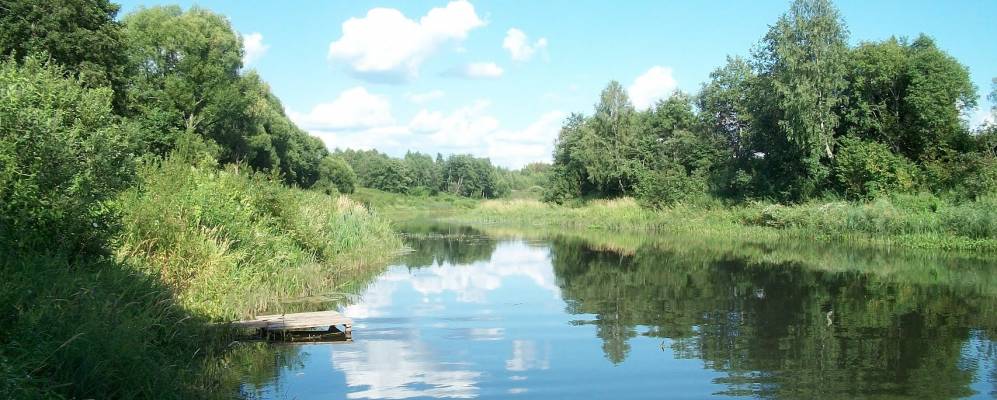 Фотография Мышкино