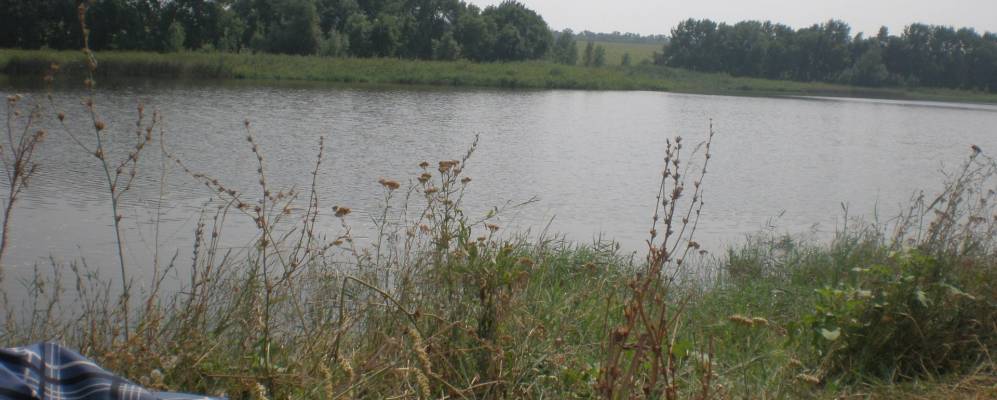 
            Фотография Колоно-Николаевки