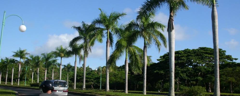 
            Фотография Пекату