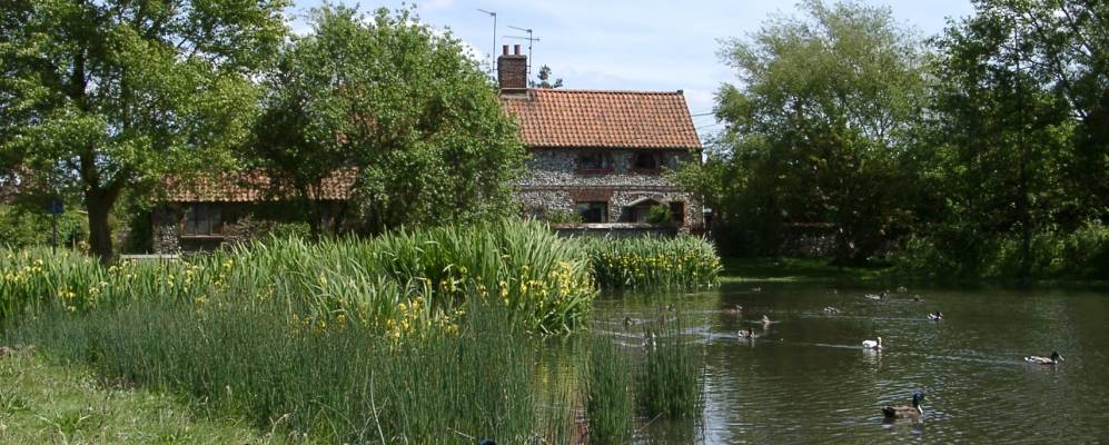 
            Фотография Станхо