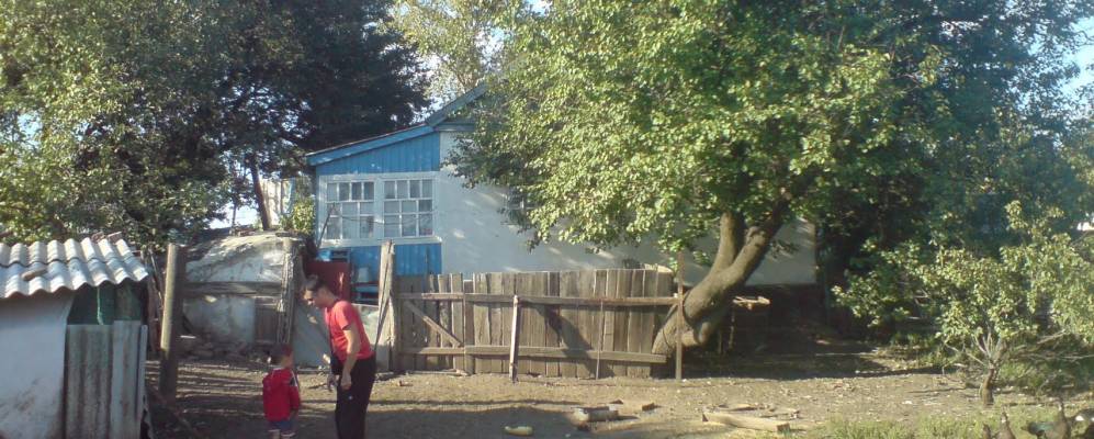 
            Фотография Новоборовицы