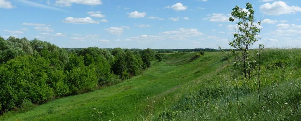 
            Фотография Красного Городка