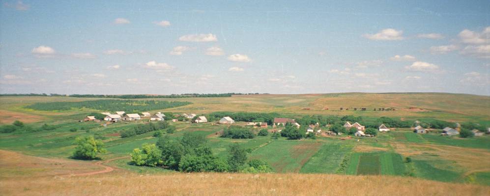 
            Фотография Родничного