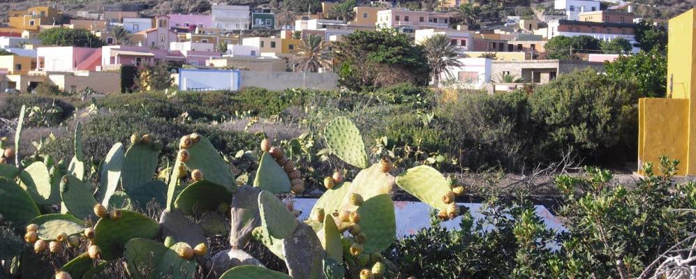 
            Фотография Линоза