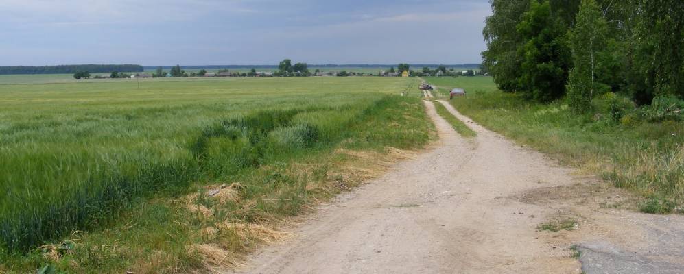 
            Фотография деревни Омговичи