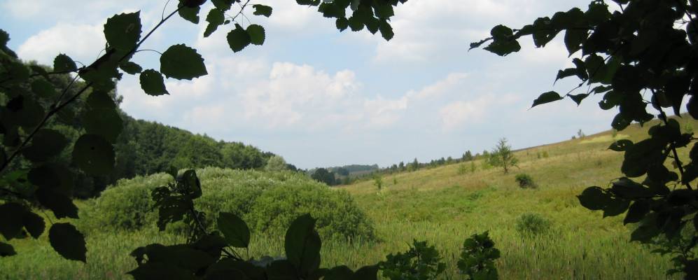 
            Фотография Петрушевки