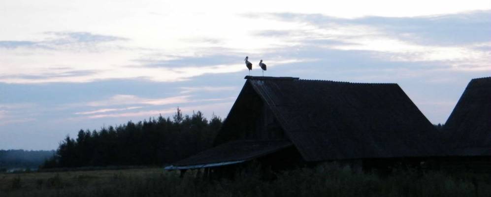 
            Фотография деревни Попельники