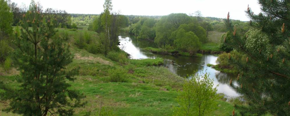 
            Фотография Тросна-Ивакино