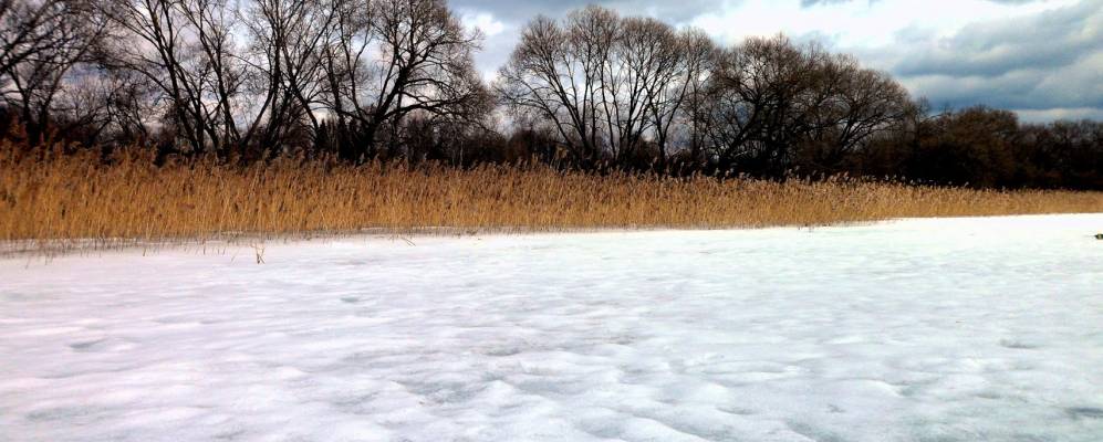 
            Фотография Рыбного