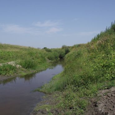 Топорищево