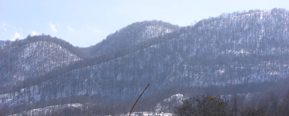 
            Фотография Рядухоя