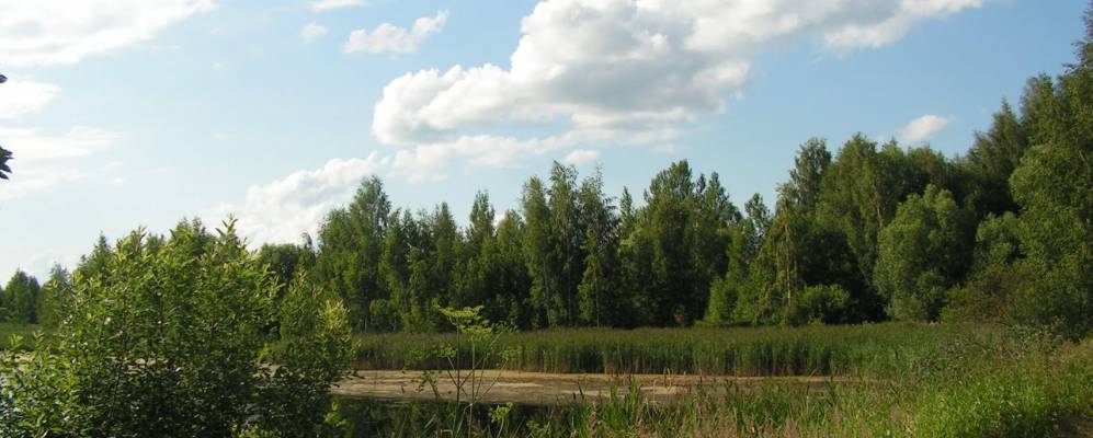 дорохово военный аэродром. дорохово бежецкий район аэродром. дорохово храм московской области. поселок дорохово тверская область. аэродром дорохово бежецк.