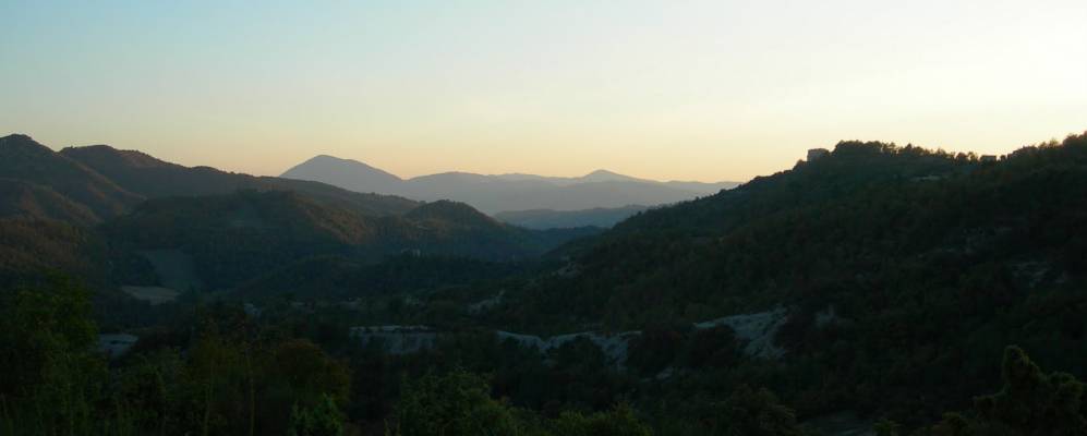 
            Фотография Карпини