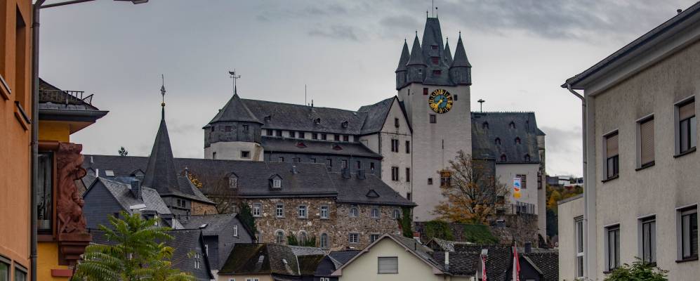 
            Фотография Дица