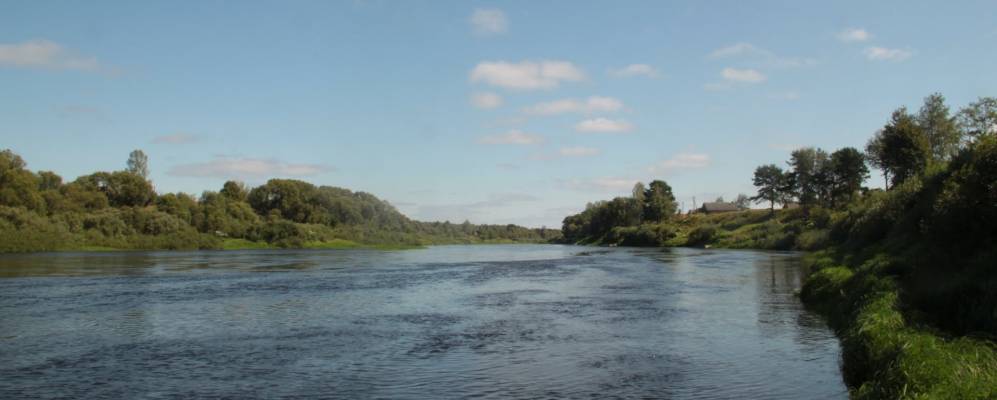 
            Фотография Дятлово