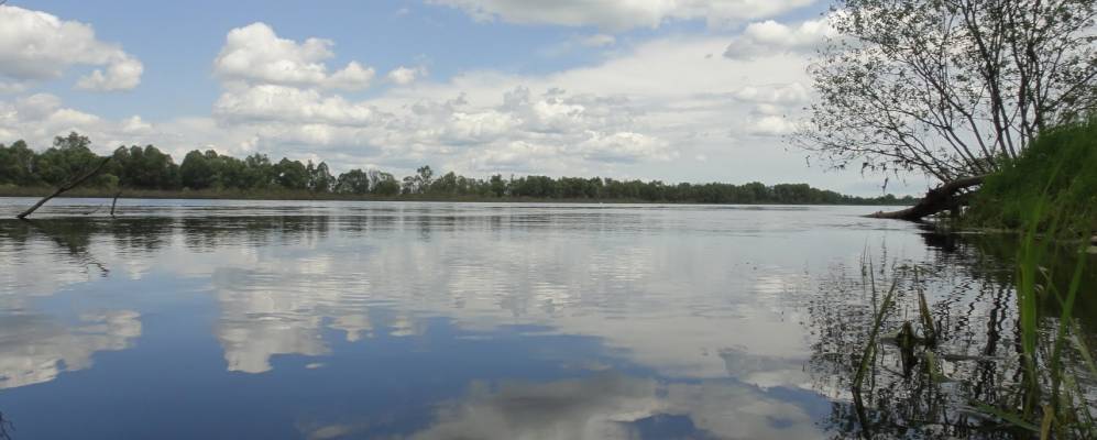 
            Фотография Турока