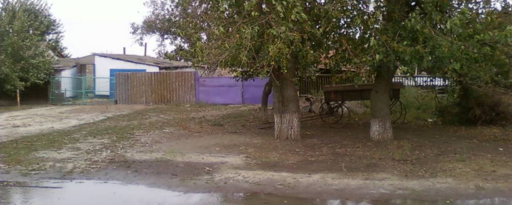 
            Фотография Киевки