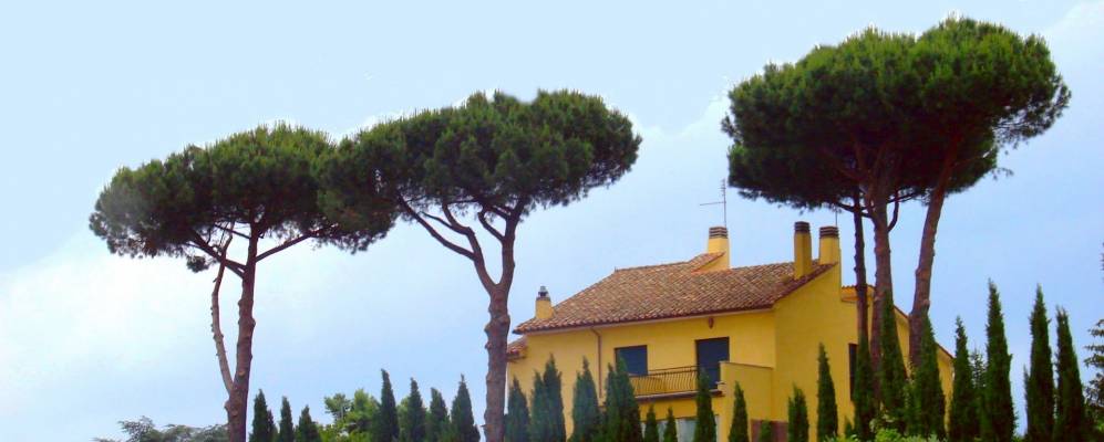 
            Фотография Камильяно