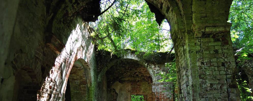 
            Фотография Галкино