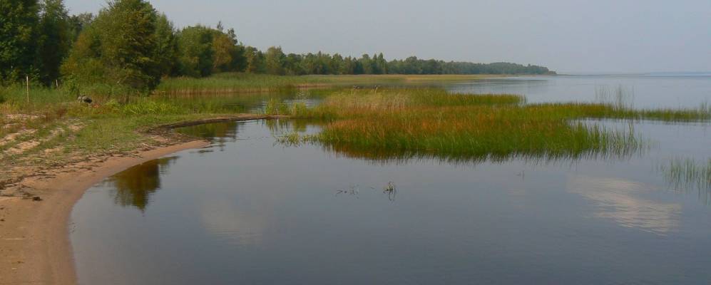 
            Фотография Кретивли