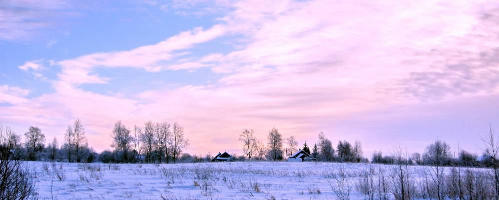 
            Фотография Волосово