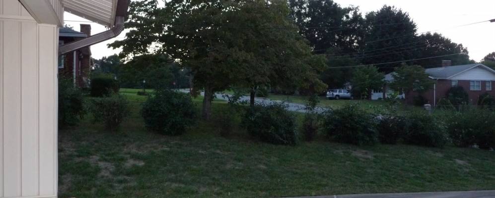 
            Фотография Лонгвью