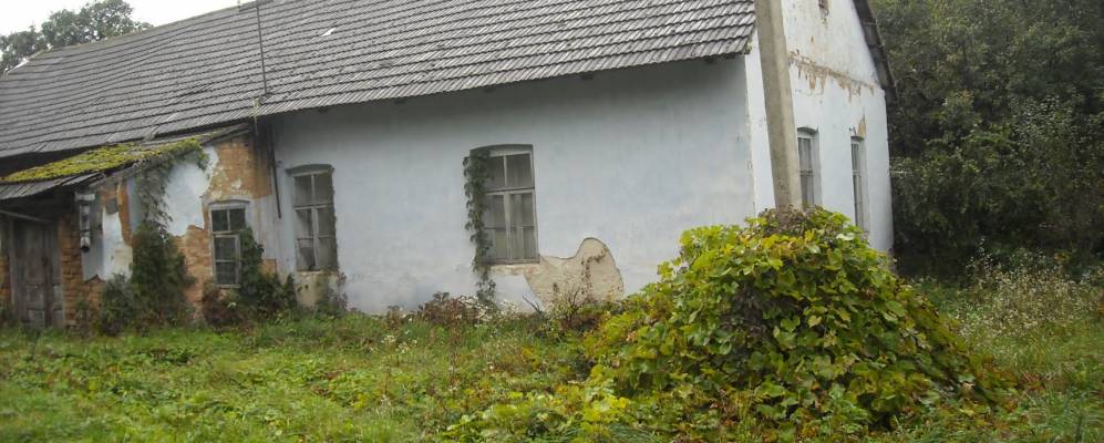 
            Фотография Залесья