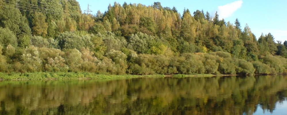 
            Фотография Вязовой