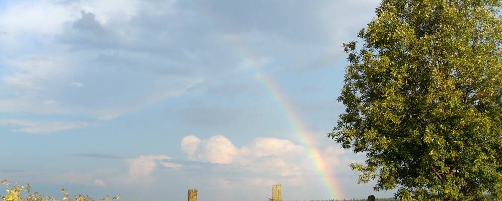 
            Фотография Андроново