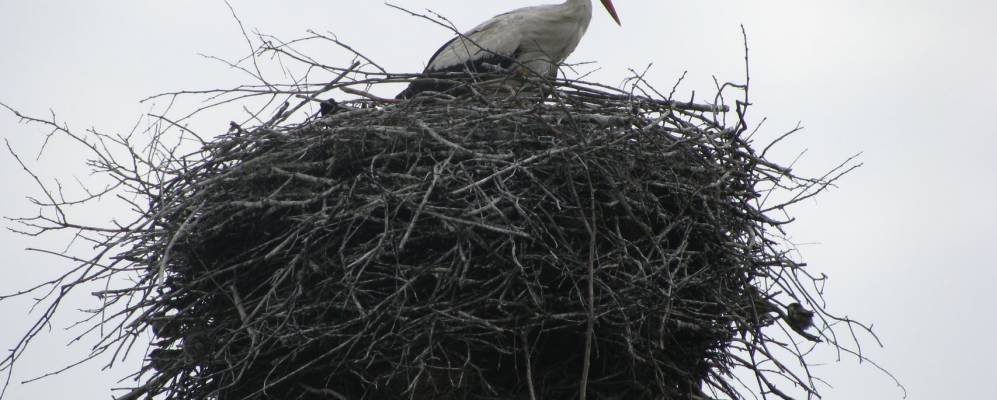 
            Фотография Вышеграда