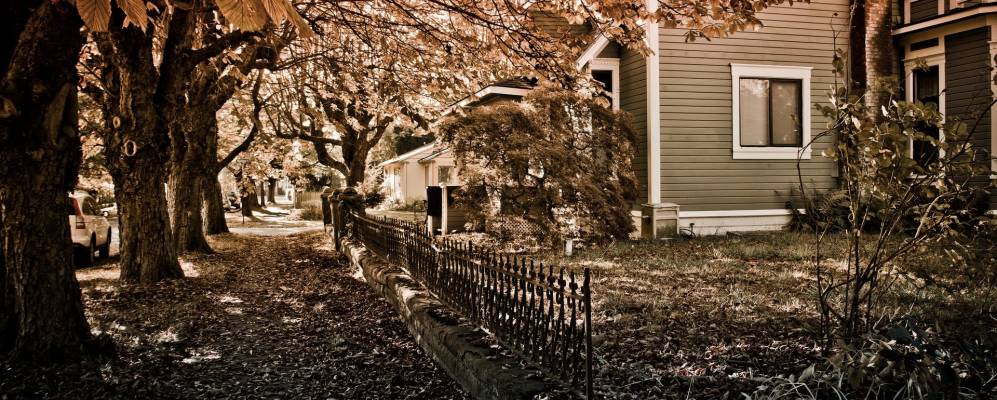 
            Фотография Беллингхэма