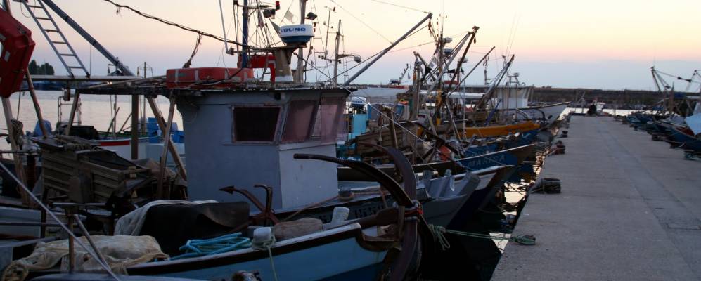 
            Фотография Горо