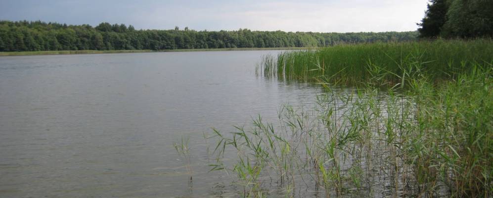 
            Фотография Reimershagen