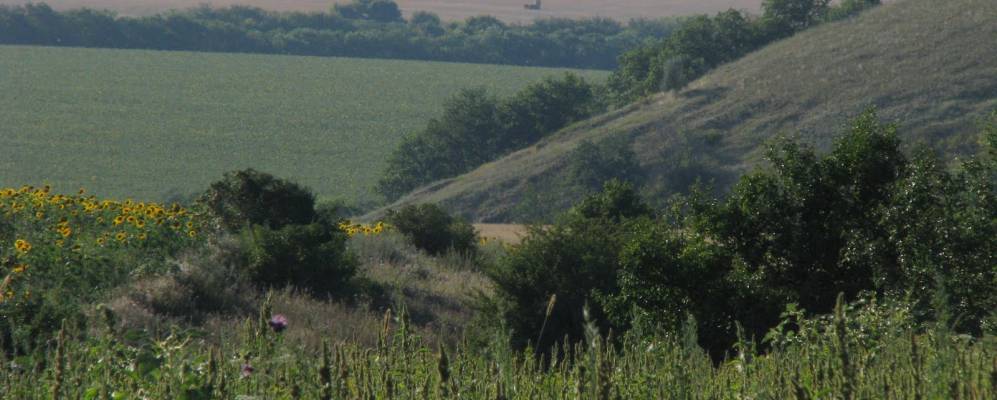 
            Фотография Романенкова