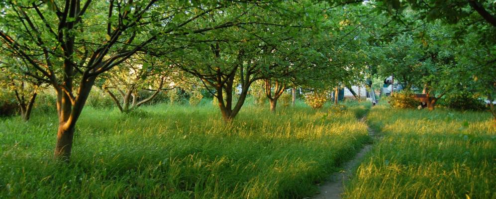 Фотография Краковщины