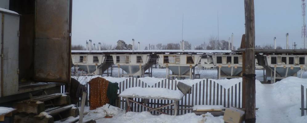 Фотография Жеховской